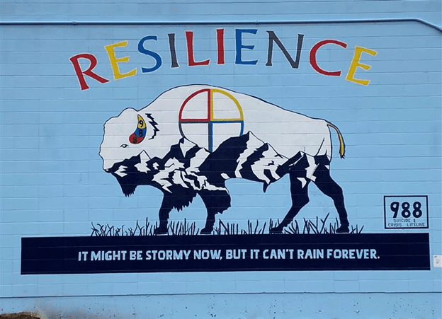 Resilience Picture
