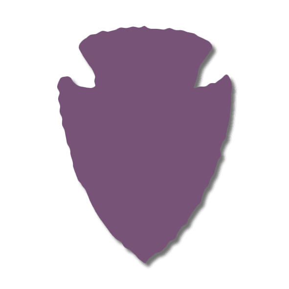 arrowhead icon
